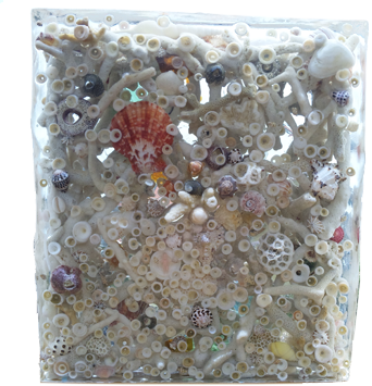 貝殻と珊瑚のオブジェ1