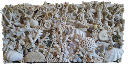 貝殻と珊瑚のオブジェ2